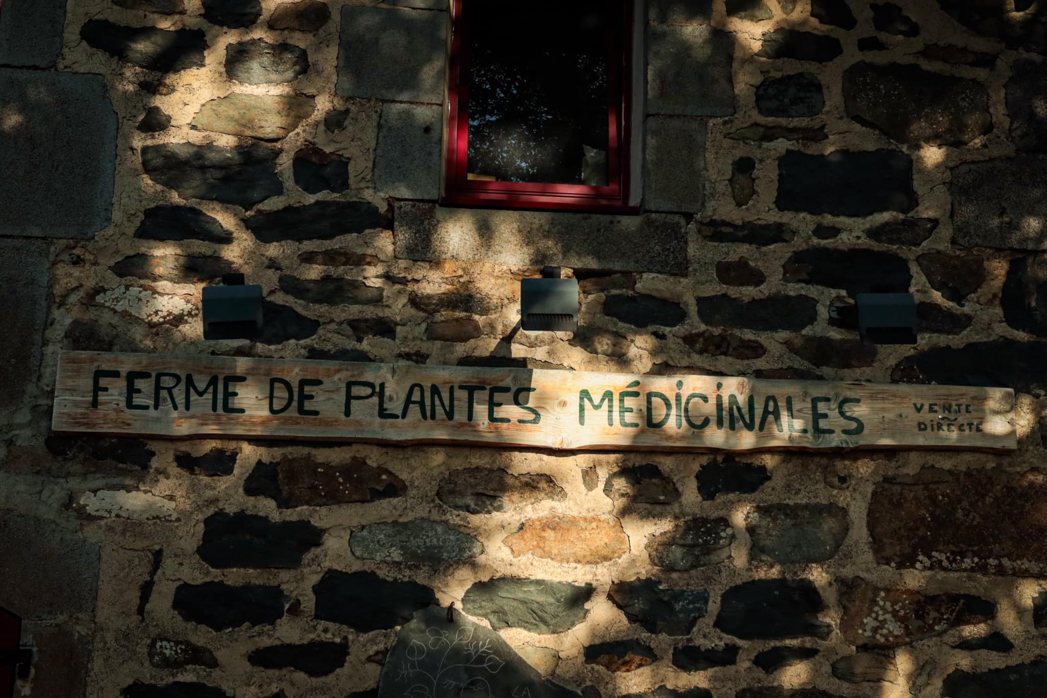 Découverte des Energies de la Terre et de la Forêt le 27/09/26 – Image 2