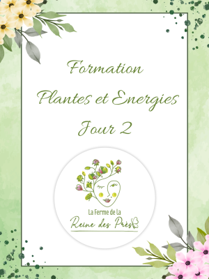 Formation Plantes Jour 2:  Utiliser les plantes au quotidien