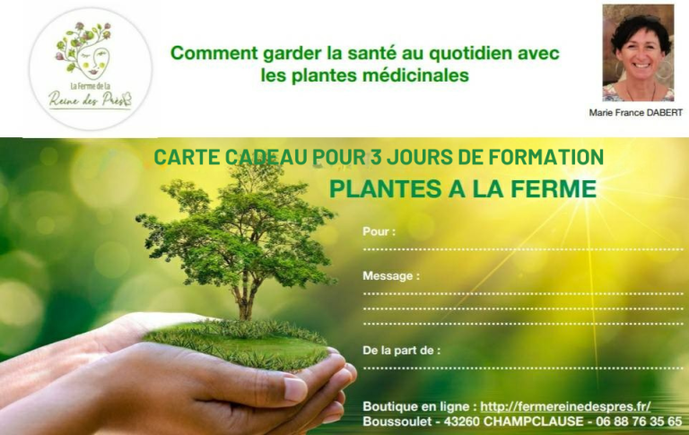 CARTE CADEAU POUR 3 JOURS DE FORMATION
