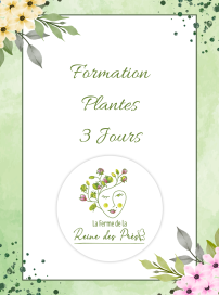 3 JOURS PLANTES