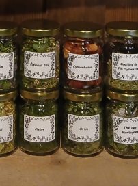COFFRET 24 TISANES PETITS POTS